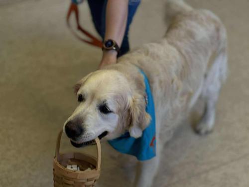 552949669 4082551761986527 8870063336384659910 n